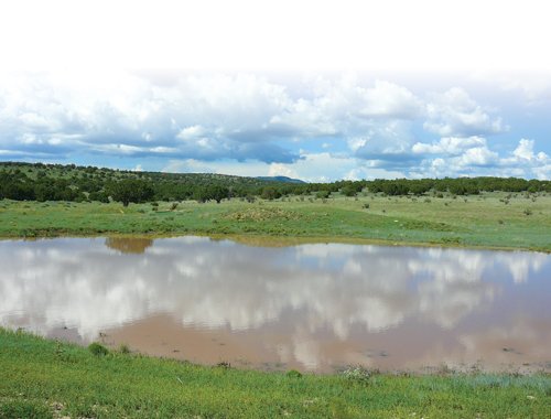 Property photo 1 - 7,320 Acres Offered in 5 Tracts